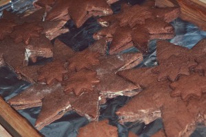DSC_0490