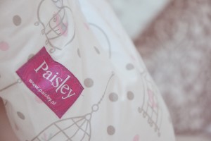 Paisley Poland