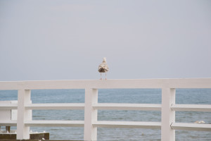 molo Sopot