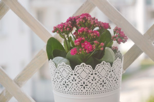 balkon w stylu prowansalskim