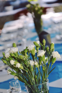urodzinowe garden party
