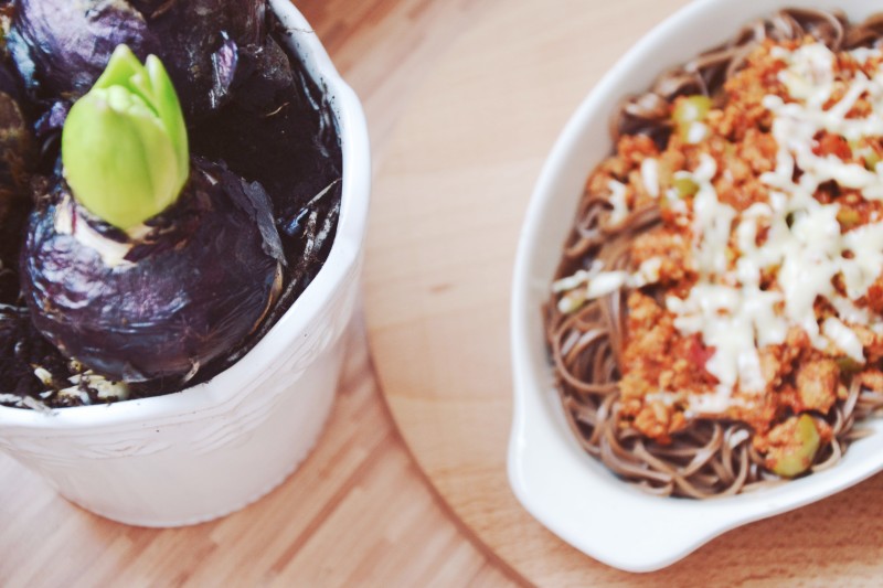 dietetyczne spagetti bolognese