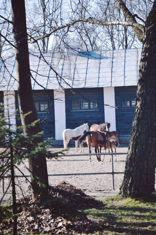 pomysł na rodzinny weekend