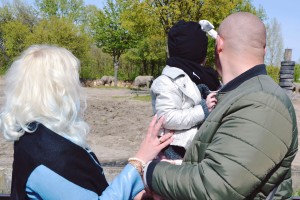 kłótnie rodziców przy dzieciach